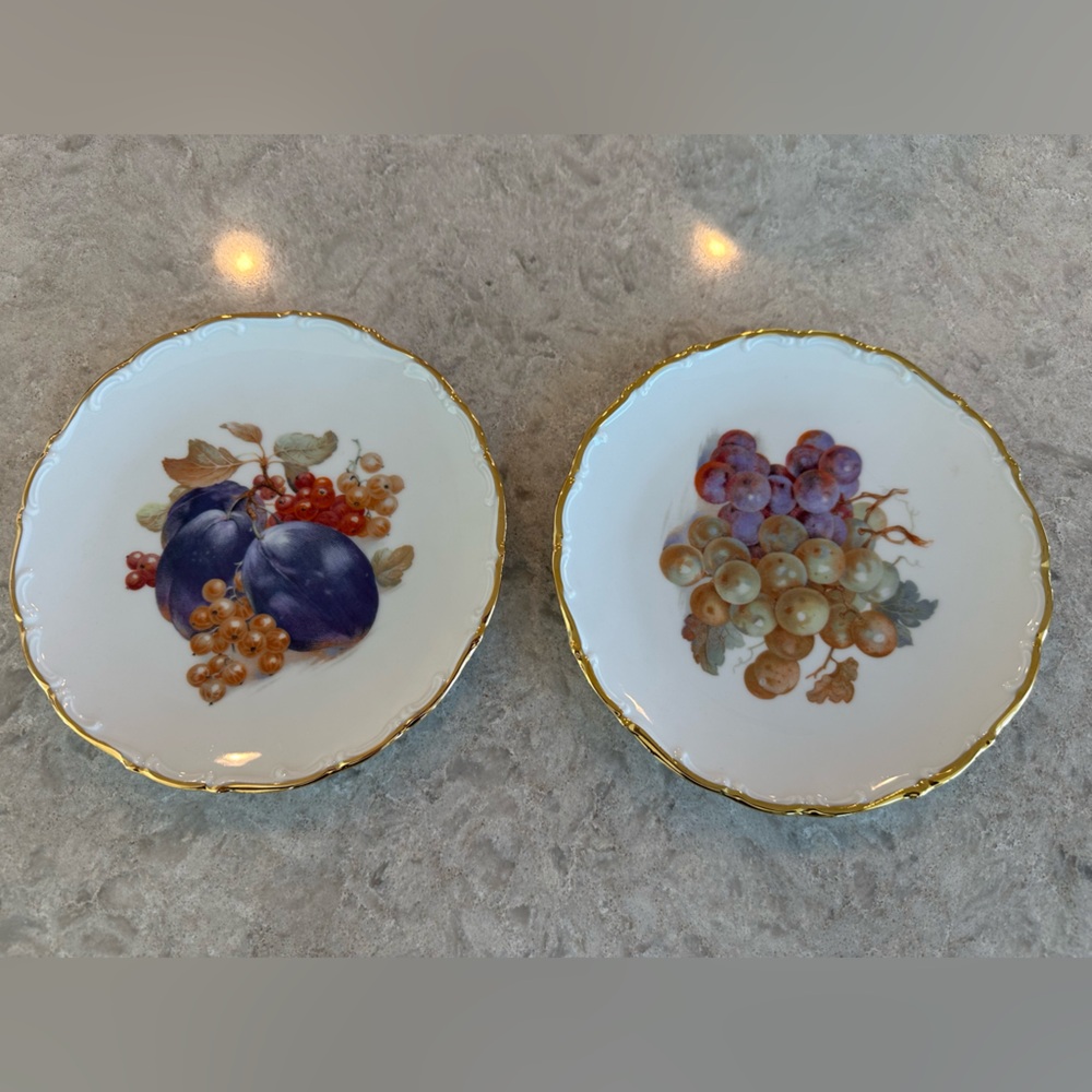 Vintage Schumann Arzberg Germany Fruit & Nuts Salad Plates - Set of 2